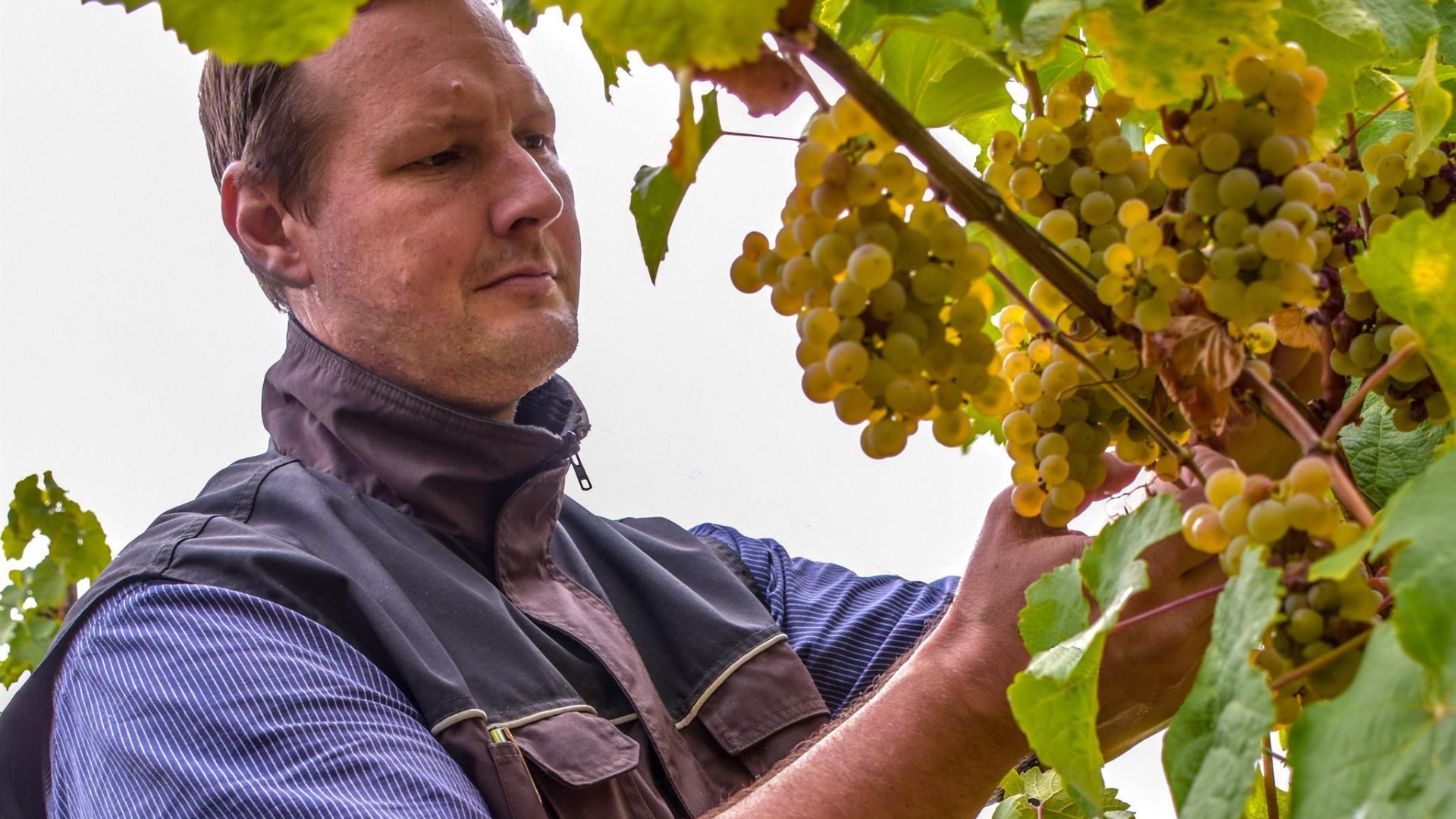 Weingut Kurt Bug | &copy; Yvonne Bug