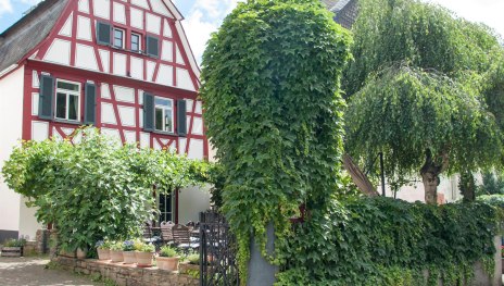 Außenansicht Weinwirtschaft Laquai | © Weingut Laquai Außenansicht Weinwirtschaft Laquai | © Weingut Laquai