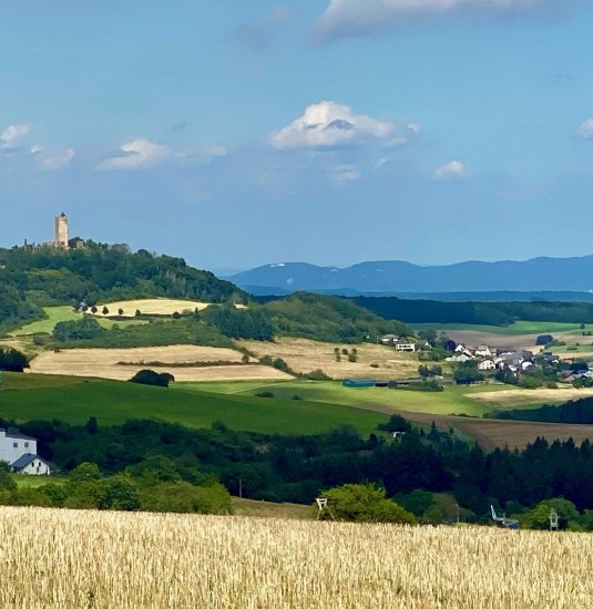 Blick auf die Burg &Ouml;lbr&uuml;ck | &copy; Reiner Geisen