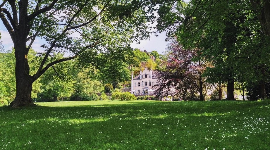 Schlosspark 01 | © Fürstlich Sayn-Wittgenstein’sche Verwaltung Schlosspark 01 | © Fürstlich Sayn-Wittgenstein’sche Verwaltung