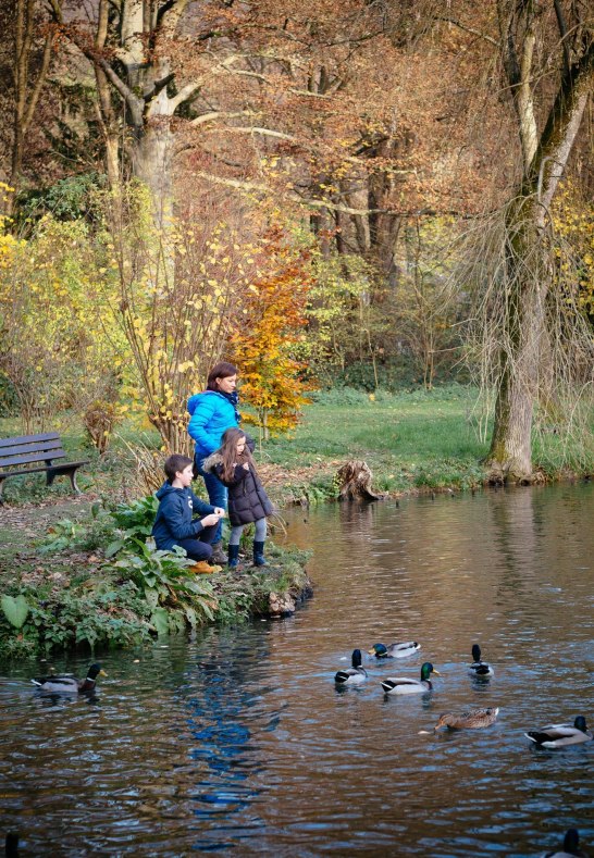 IMG_0758 | &copy; Eigentum