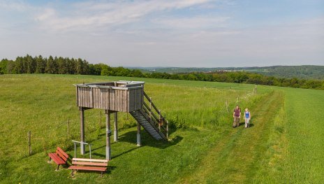 Aussichtskanzel bei Rüscheid | © Andreas Pacek , Touristik-Verband Wiedtal e.V.