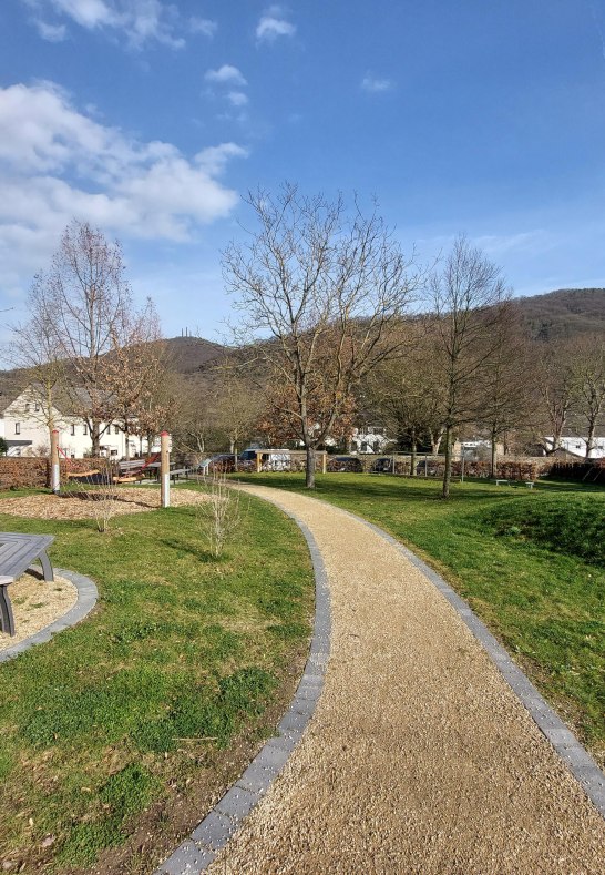 B&auml;nke am Baum | &copy; TI Erlebnisrheinbogen