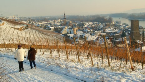 Unterwegs in den R&uuml;desheimer Weinbergen | &copy; R&uuml;desheim Tourist AG