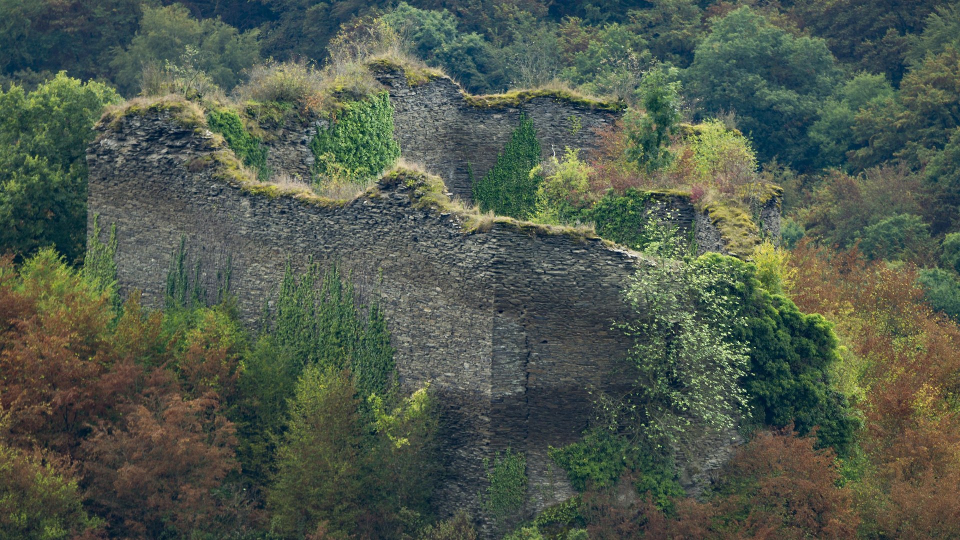 Rauschenburg | &copy; Kappest