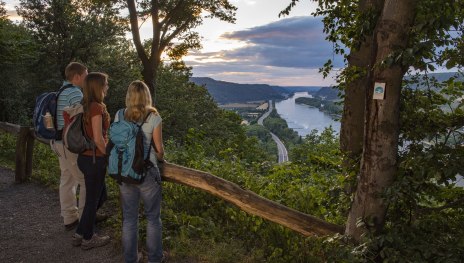 Ausblicke ins Rheintal | © Klaus-Peter Kappest, Traumpfade im Rhein-Mosel-Eifel-Land Ausblicke ins Rheintal | © Klaus-Peter Kappest, Traumpfade im Rhein-Mosel-Eifel-Land