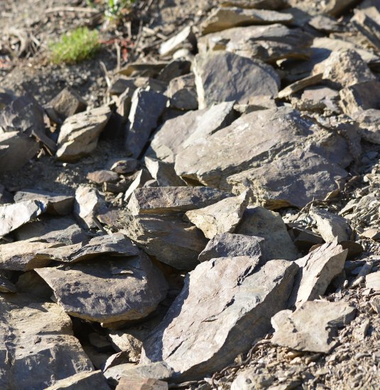 Schiefer & Würze | © Weingut Toni Lorenz Schiefer & Würze | © Weingut Toni Lorenz