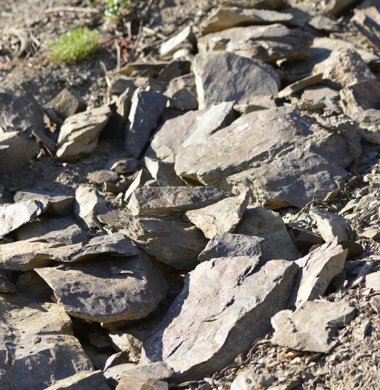 Schiefer & W&uuml;rze | &copy; Weingut Toni Lorenz