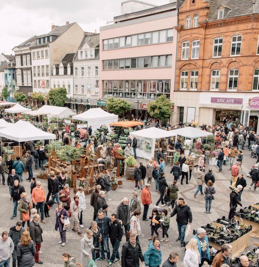 Gartenmarkt Luisenplatz | © Zimpfer