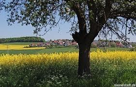 Baum | © Sebastian Haupt Baum | © Sebastian Haupt
