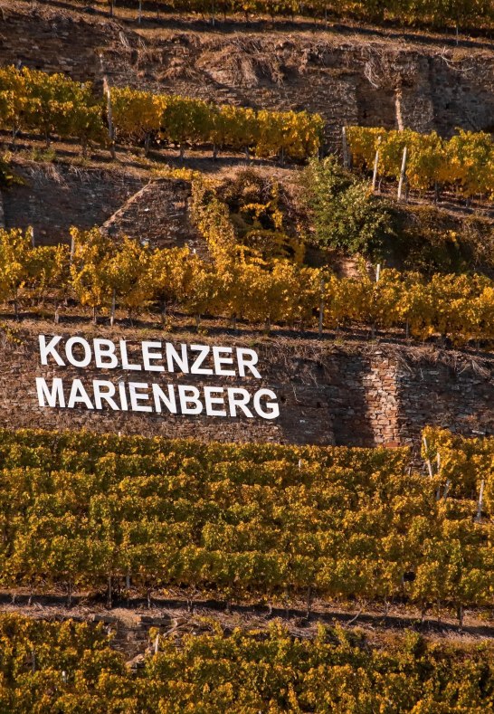 Koblenzer Marienberg | © Weingut Schwaab