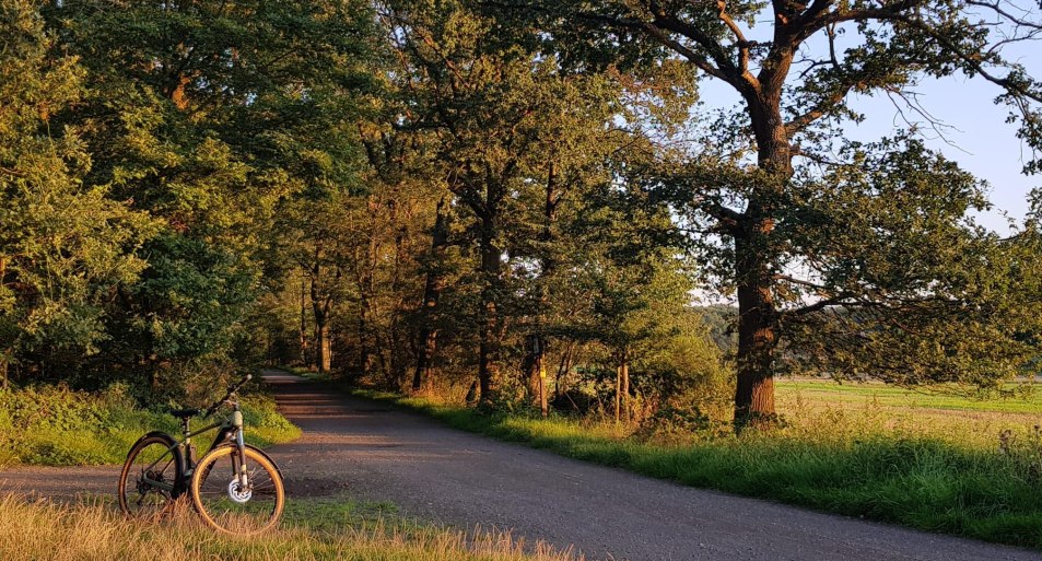 Radfahren auf der M&ouml;nchsheide | &copy; Tourist-Information Bad Breisig