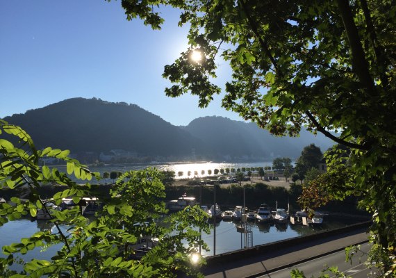 Hafen St. Goar | © rheingucken.de Hafen St. Goar | © rheingucken.de
