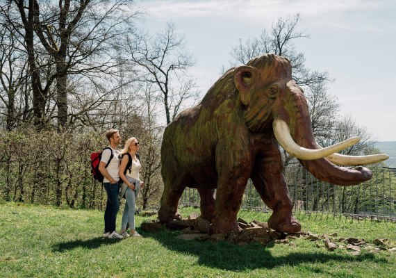 Mammut Max von Monrepos | © Zimpfer_Photography