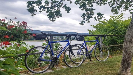 Rad | &copy; Ulrike Dallmann