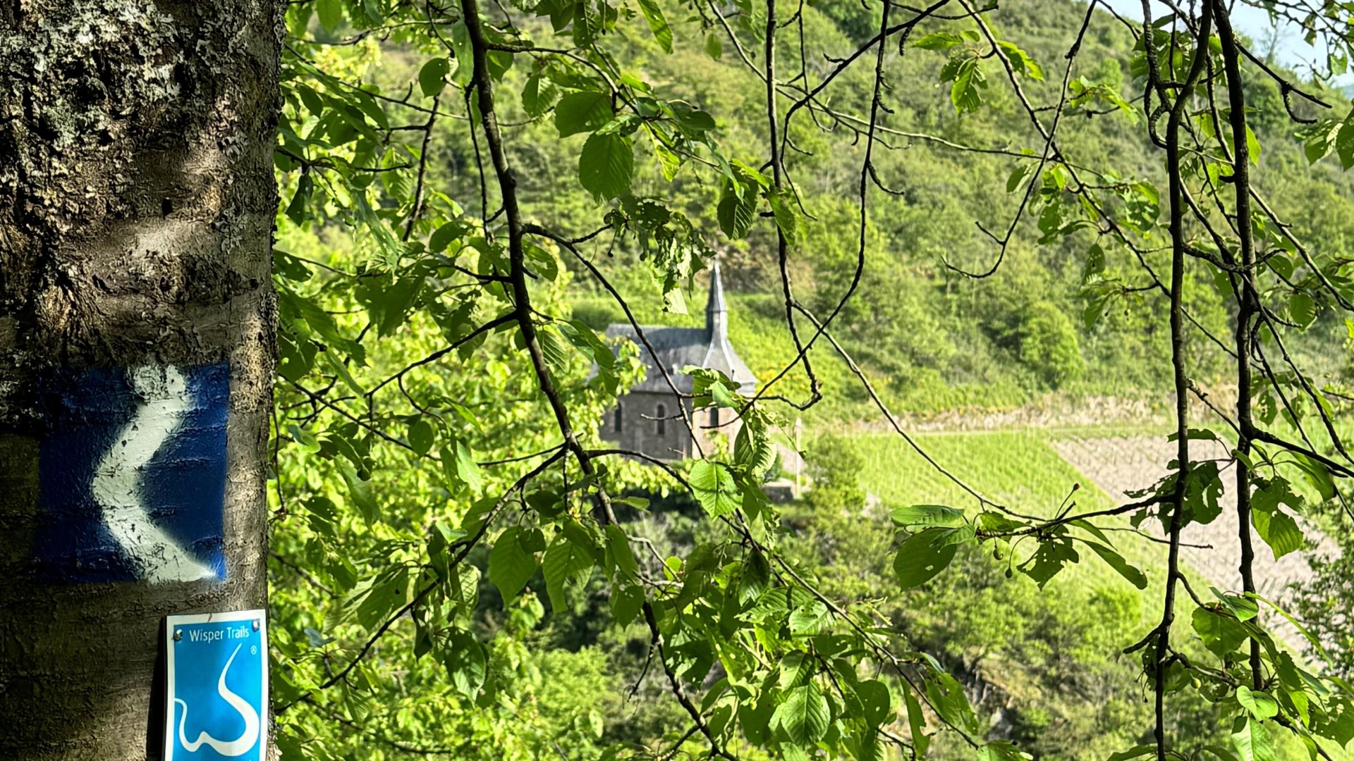 Blick auf Clemenskapelle _Rheinsteig_Wispertrail_M