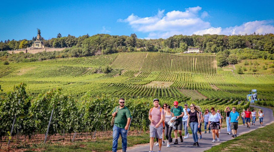 Weinwanderung | © Bianca Promotion Weinwanderung | © Bianca Promotion