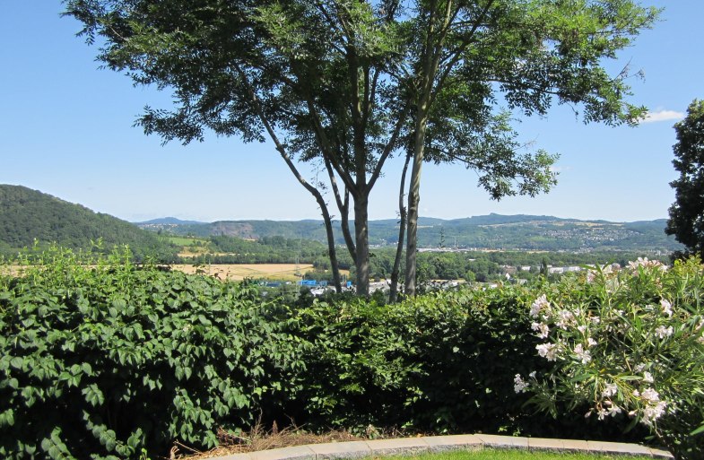Blick vom Garten ins Rheintal | &copy; Eigent&uuml;mer