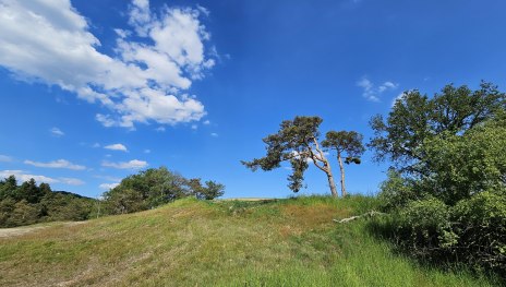 Rheinsteig | © Ulrike Dallmann Rheinsteig | © Ulrike Dallmann