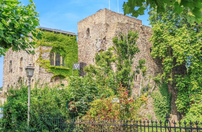 Brömser Castle - Spring | © Marlis Steinmetz Brömser Castle - Spring | © Marlis Steinmetz