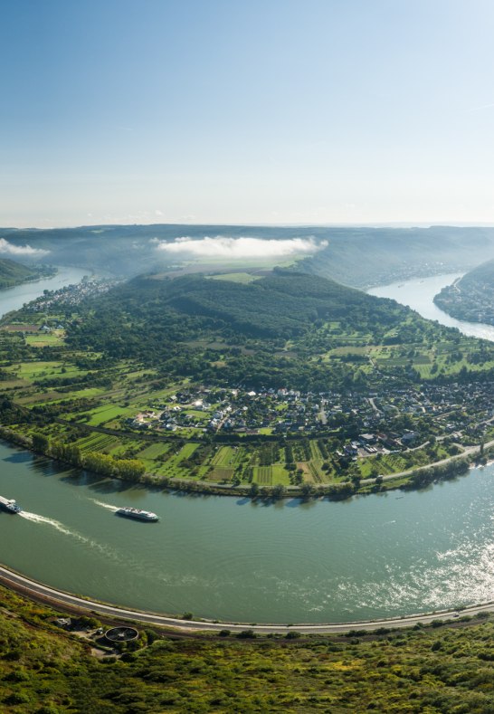 Die gro&szlig;e Rheinschleife vom gedeonseck betrachtet. | &copy; Dominik Ketz