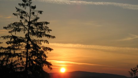 &copy; Sandra Schnober, Stadt St. Goar