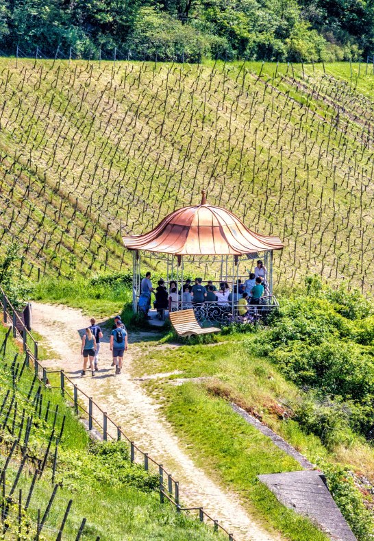 Rotweinlaube in Assmannshausen | &copy; Marlis Steinmetz