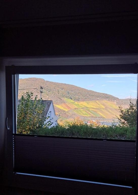 Aussicht 2 | &copy; Familie Nass,M&uuml;ller-Bryja