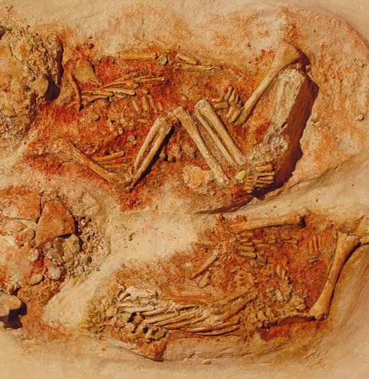 Bestattung Krems Wachtberg | © LEIZA/A.-L.Rosenthal Bestattung Krems Wachtberg | © LEIZA/A.-L.Rosenthal