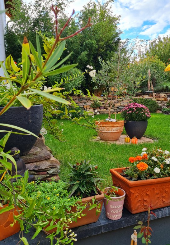 20230913_174702 | &copy; Daniela Herrmann