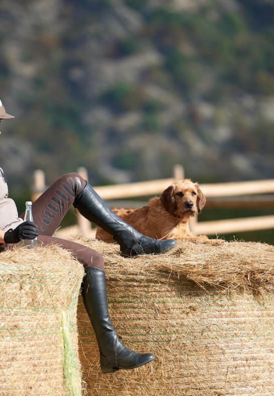 Hof.Hardth&ouml;he.Reiten.Pausenzeiten2 | &copy; Tourist-Information Oberwesel