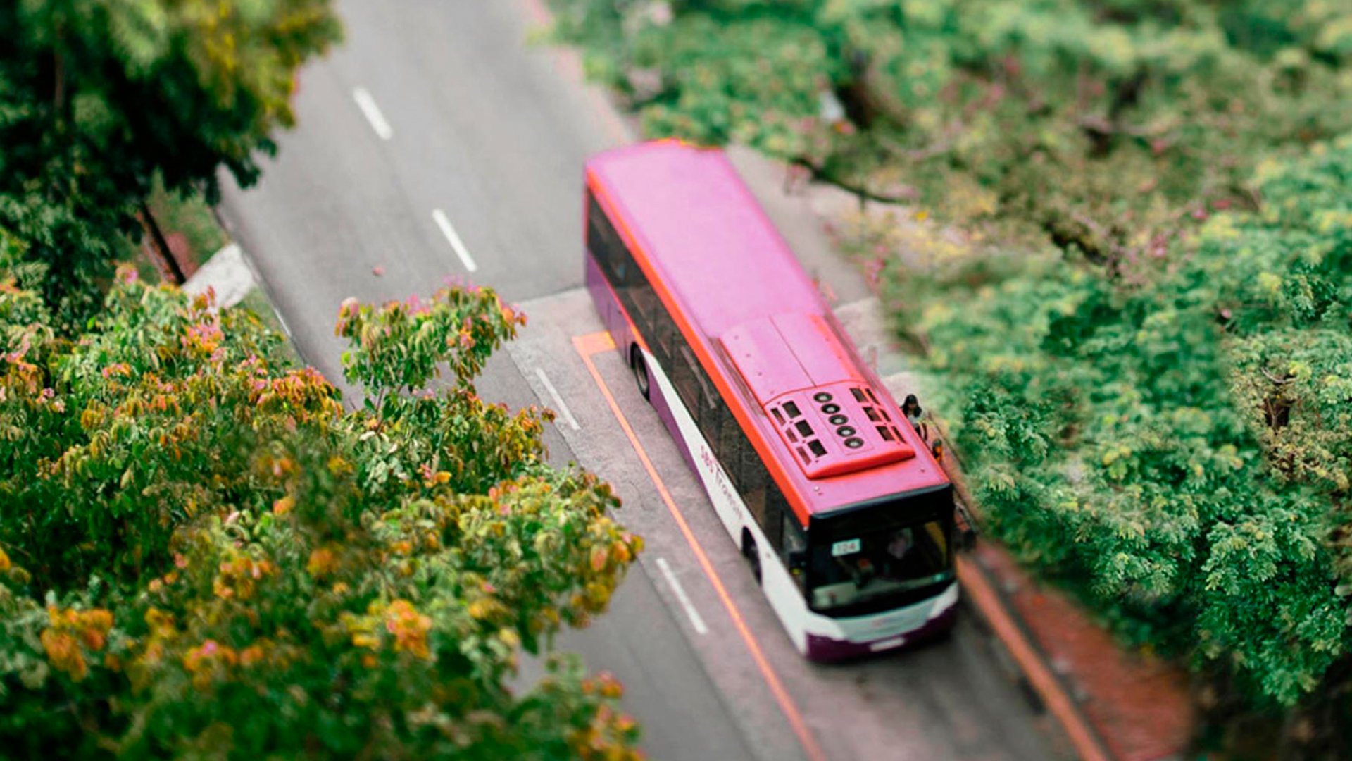 Deichstadtexpress | &copy; Unsplash