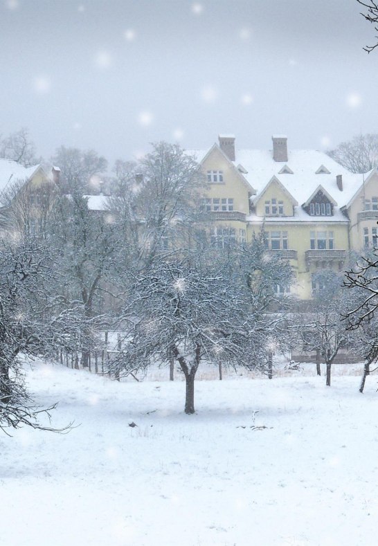 Monrepos im Schnee | &copy; MONREPOS|RGZM