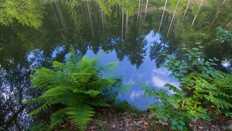 See | © Klaus-Peter Kappest, Traumpfade im Rhein-Mosel-Eifel-Land