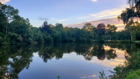 See am Ferienpark | © M. Nick See am Ferienpark | © M. Nick