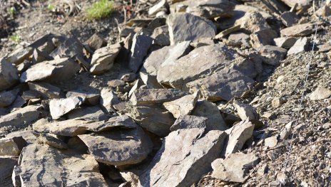 Schiefer & W&uuml;rze | &copy; Weingut Toni Lorenz