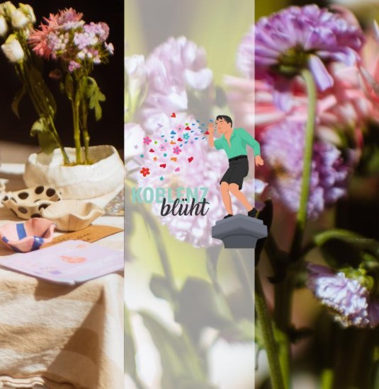 Koblenz bl&uuml;ht 2026 | &copy; Gabriel Volkovic