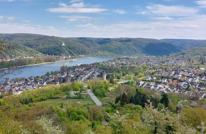 Aussicht Lützelforst | © TI Erlebnis Rheinbogen Aussicht Lützelforst | © TI Erlebnis Rheinbogen