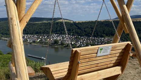 Weinbergsschaukel | &copy; Suzanne Breitbach