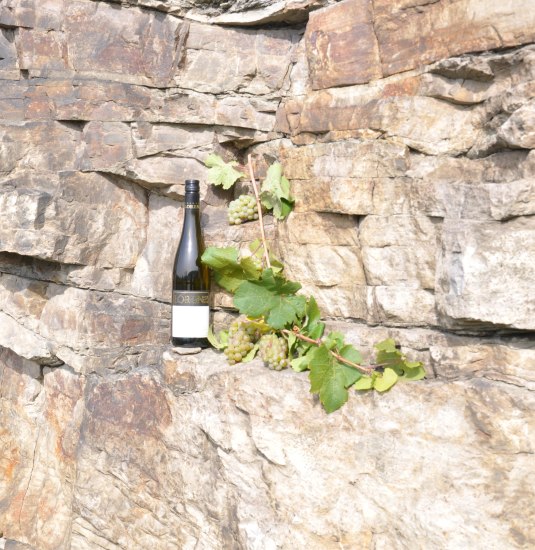 Wein | © Weingut Toni Lorenz Wein | © Weingut Toni Lorenz