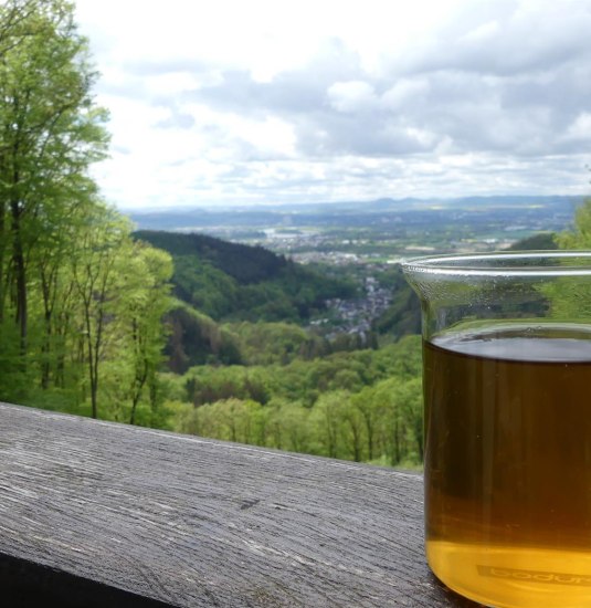 Blick vom Römerturm | © Werner Langhals Blick vom Römerturm | © Werner Langhals