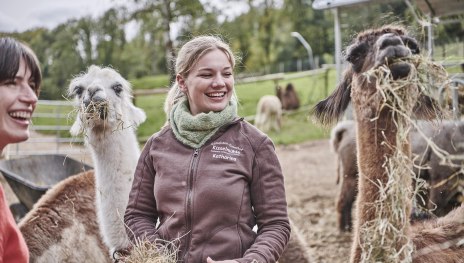 F&uuml;tterung Lamas und Alpakas | &copy; HA Hessen Tourismus, Roman Knie
