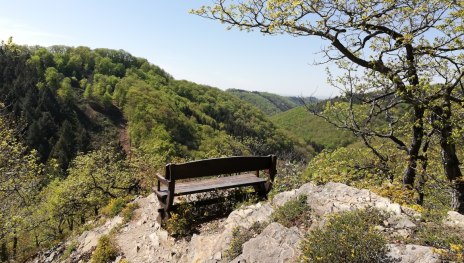 Traumschleife Hasenkammer | © Tourist Information Boppard, Mittelrhein Traumschleife Hasenkammer | © Tourist Information Boppard, Mittelrhein