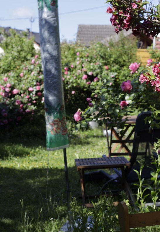 Garten | &copy; Schniering