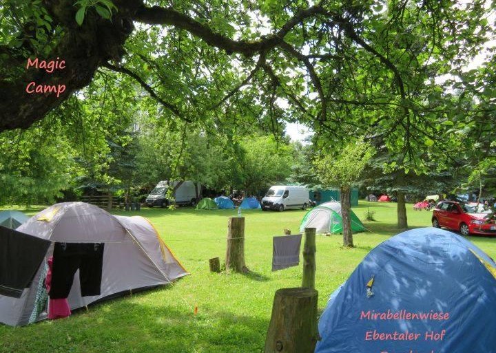 Mirabellen Wiese | © Familie Bender Mirabellen Wiese | © Familie Bender