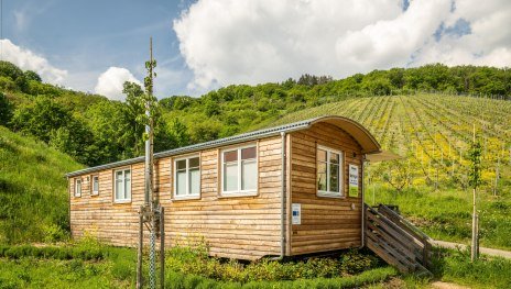 Verkaufswagen am Weingut | &copy; Dominik Ketz