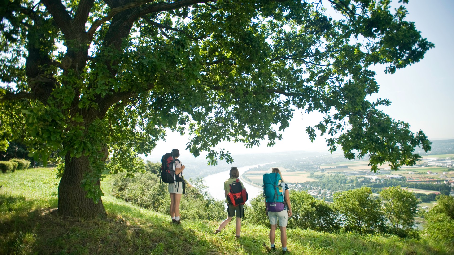 Wanderinnen genießen die Aussicht | © Dominik Ketz / Rheinland-Pfalz Tourismus GmbH Wanderinnen genießen die Aussicht | © Dominik Ketz / Rheinland-Pfalz Tourismus GmbH