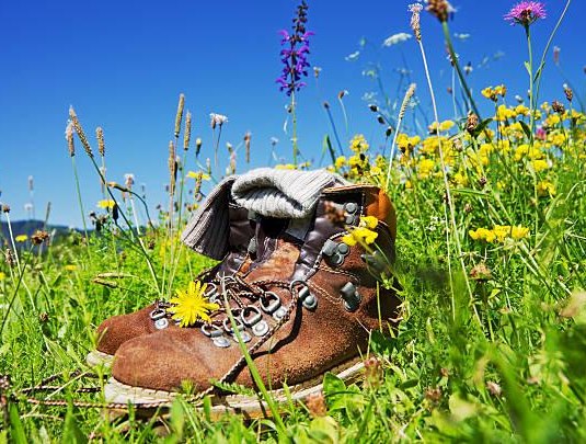 Wandertag-Langscheid | © Karsten Liesenfeld