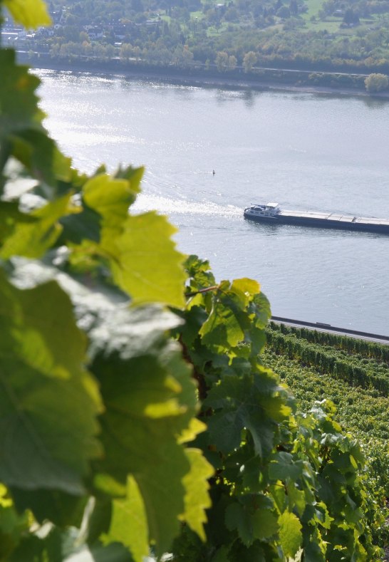 DSC_0391 | © Fam.Lorenz DSC_0391 | © Fam.Lorenz