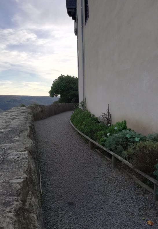 Botanischer Garten | © Birgit Biller Botanischer Garten | © Birgit Biller